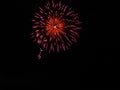 Pink fireworks with yellow center against black sky Royalty Free Stock Photo