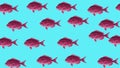 PINK FISH SURREAL MOTION ILLUSTRATION. PSYCHEDELIC PATTERN.