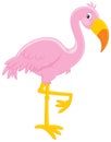 Pink flamingo