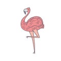 pink flamingo. African bird cartoon outline illustration.