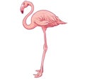 Pink flamingo