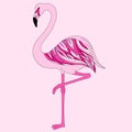 Pink flamingo