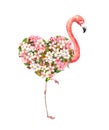 Pink flamingo bird with floral heart - spring cherry blossom. White, pink flowers. Watercolor for Valentine day