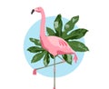 Pink flamingo bird over blue background