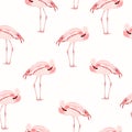 Pink flamingo bird standing seamless pattern