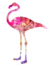 Pink Flamingo Bird Watercolor Painting Royalty Free Stock Photo