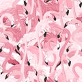 Pink flamingo birds flamboyance seamless pattern
