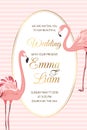 Pink flamingo birds wedding invitation oval frame Royalty Free Stock Photo