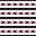 Pink Flamingo Black Stripes Pattern