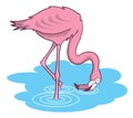 Pink flamingo cartoon illustration