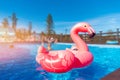 Pink flamingo circle in turquoise water sunny day. Concept Summer pool party background Royalty Free Stock Photo