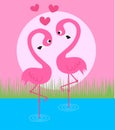 Pink flamingo couple Royalty Free Stock Photo