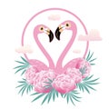 Vector illustration pink flamingo couple. Cool flamingo decorative flat design element.