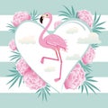 Vector illustration pink flamingo couple. Cool flamingo decorative flat design element.