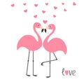 Pink flamingo couple and hearts. Word love. Exotic tropical bird. Zoo animal collection. Cute cartoon character. Greeting card. Fl Royalty Free Stock Photo