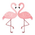 Pink flamingo couple in love isolated on white