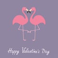Pink flamingo couple neck heart shape. Exotic tropical bird. Zoo animal collection. Cute cartoon character. Happy Valentines day. Royalty Free Stock Photo