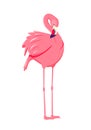 Pink flamingo. Cute and beautiful flat pink flamingo on white background, summer design for print, kids drawing, design Royalty Free Stock Photo