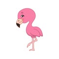 Pink flamingo. Cute character. Colorful vector illustration. Cartoon style. Isolated on white background. Design element. Template Royalty Free Stock Photo