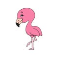 Pink flamingo. Cute flat vector illustration in childish cartoon style. Funny character. Isolated on white background Royalty Free Stock Photo