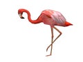 Pink Flamingo 3d / CGI rendered