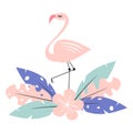 Cute pink flamingo with exotic tropical leaves and flower vector illustration isolated on white background Royalty Free Stock Photo