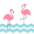 Pink flamingo family set. Blue sea ocean water zigzag wave. Exotic tropical bird