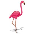 Pink Flamingo 3 Vector illustration