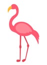 Pink Flamingo Flat Animated Bird Animal PNG Illustration Royalty Free Stock Photo