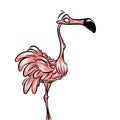 Pink flamingo funny