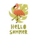 Pink flamingo on green monstera leaf with lettering Hello summer. Cute hand drawn illustration on white background. Flat vector Royalty Free Stock Photo
