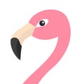 Pink flamingo head face with long neck. Exotic tropical bird. Zoo animal collection. Cute cartoon character. Decoration element. F Royalty Free Stock Photo