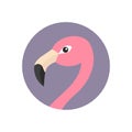 Pink flamingo head face with long neck. Round circle icon. Exotic tropical bird. Zoo animal collection. Cute cartoon character. De Royalty Free Stock Photo