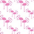 Pink flamingo isolated on background. Exotic bird. Cool flamingo decorative flat design element. Wildlife zoo cute