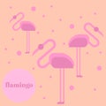 Pink flamingo isolated on background. Exotic bird. Cool flamingo decorative flat design element. Wildlife zoo cute cartoon bird.