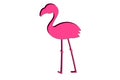 Pink flamingo . Isolated exotic bird on white background. Illustration design