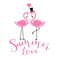 Pink Flamingo isolated illustration on white background Royalty Free Stock Photo