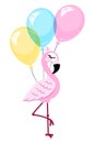Pink flamingo isolated on white background with balloons