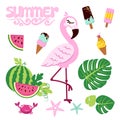 Pink flamingo isolated on white background with ice creams and watermelons.