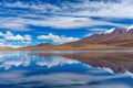 Pink flamingo in Lake Hedionda , Bolivia. Panorama