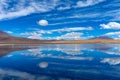 Pink flamingo in Lake Hedionda , Bolivia. Royalty Free Stock Photo