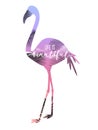 Pink flamingo with lettering. Vector illustration print