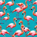 Pink flamingo love bird flock drawing