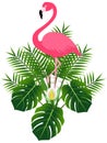 Pink flamingo and monstera and tropical palm leaves.