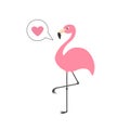 Pink flamingo on one leg. Talk think bubble with heart. Royalty Free Stock Photo