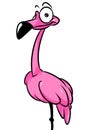 Pink flamingo parody bird animal character cartoon