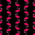 Pink flamingo pattern seamless. Birds background. Bird with long