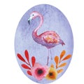 Pink flamingo postcard