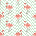 Pink flamingo seamless pattern on green szig zag background Tropical cute print Summer hawaii exotic design Vector Royalty Free Stock Photo