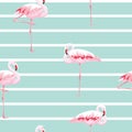 Pink flamingo seamless pattern with stripes